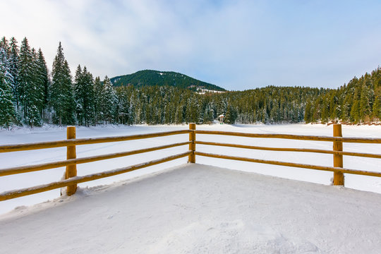 fence on the wooden pier on the lake. wonderful sunny weather in winter. frozen lake synevyr covered with snow. spruce forest on a shore around. beautiful landscape of carpathian mountains