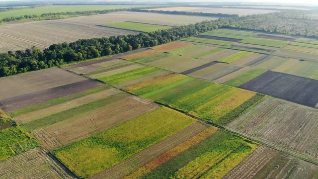 Aerial view of colorful sections of a large field on a sunny day, drone shot