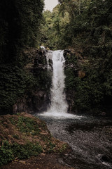 Fototapeta na wymiar Waterfall in Bali Indonesia