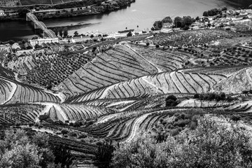 Fototapeta premium Valle del Douro, Portogallo