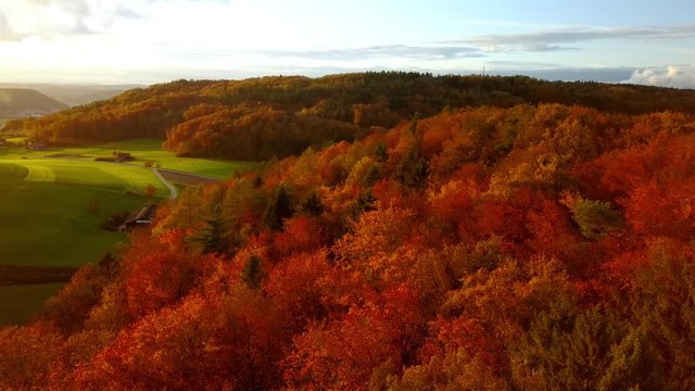 aerial sunset over the orange and red forest in autumn