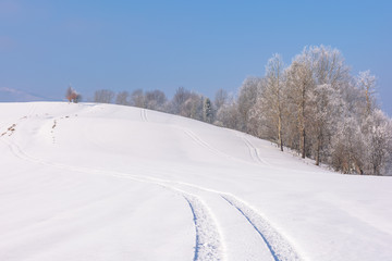 Fototapeta na wymiar trees in hoarfrost on snow covered meadow. sunny forenoon of mountainous countryside. hazy atmosphere with blue sky. calm winter nature scenery. track on the surface