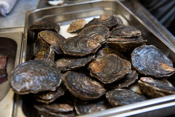 Oysters