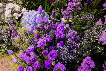 Purple rose on a flower background at decorated to celebrate the anniversary inside department store and shopping. Select focus.