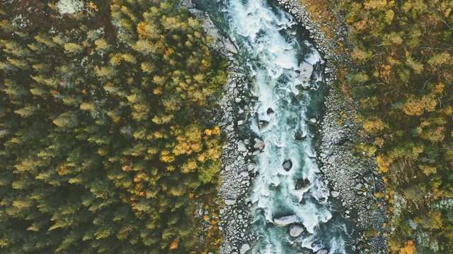 Aerial view river and coniferous forest landscape in Norway travel wilderness scenery nature top down environment ecology clear water concept