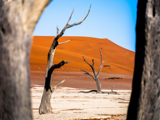 Namib desert - Sossusvlei -  Namibia
