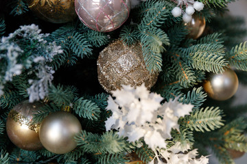 Obraz na płótnie Canvas Beautiful Christmas Balls Hanged On The Christmas Tree Branch