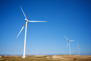 Fototapeta premium Wind energy concept