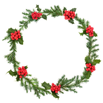 Holly berry & juniper leaf wreath for winter, Christmas & New Year on white background with copy space. Traditional symbol for the festive season. 