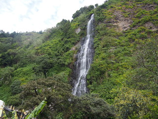 Green nature and a small waterfall, Banos (Baños), Ecuador