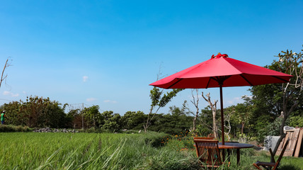 views of rice fields and chairs during the day