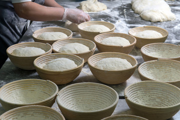 baker with dough in hands