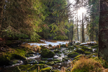Vydra and its surroundings, beautiful river in National Park of the Czech Bohemian forests, Czech Republic.