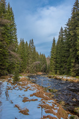 Vydra and its surroundings, beautiful river in National Park of the Czech Bohemian forests, Czech Republic.