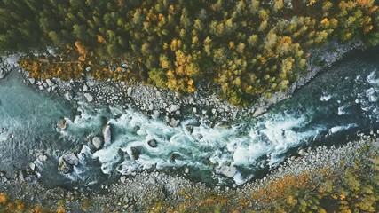 Aerial view river and autumn forest nature landscape travel in Norway beautiful destinations wilderness scenery in Norway top down environment ecology clear water concept