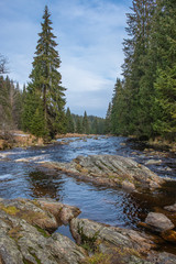 View from "Living room" by the Modravský stream, National Park of the Czech Bohemian forests, Czech Republic