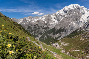 Naklejka premium Ortler