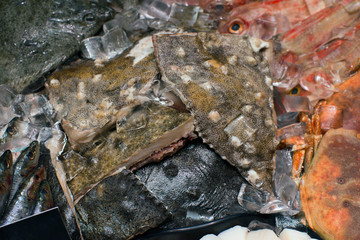 flounder, stingray in the fish department of the store