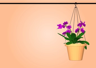 flower in a pot