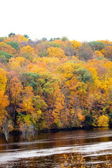 Fototapeta na wymiar Colorful trees in October next to a lake