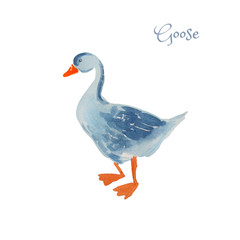 Poultry bird - goose. Isolated on white. Watercolor cartoon illustration.