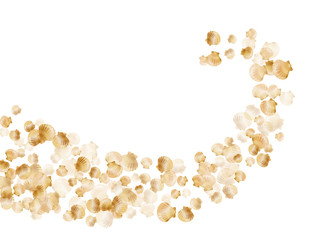 Gold seashells vector, golden pearl bivalved mollusks.
