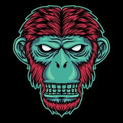 Monkey head vector illustration 
