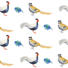 Watercolor seamless pattern - sketch of colorful pheasant. Original white background.  For decoration and design.