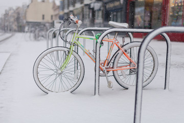 Weymouth Snow Image