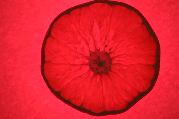 Slice of orange on a red background