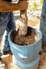 Cuba: Man Preparing to hand grind coffee bean in a old wooden mortar.