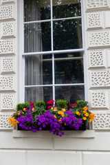 london traditional window with flowers