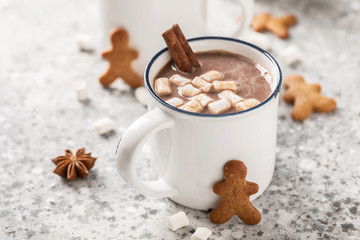 Hot chocolate or cocoa drink with milk and marshmallows.