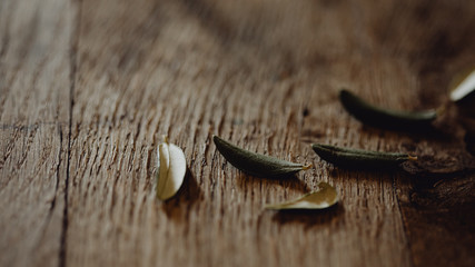 Feuilles d'olivier