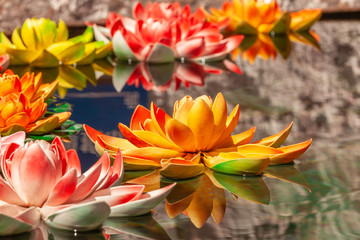 Lotus flowers in famous Buddhist Temple Jokhang in Lhasa, Tibet