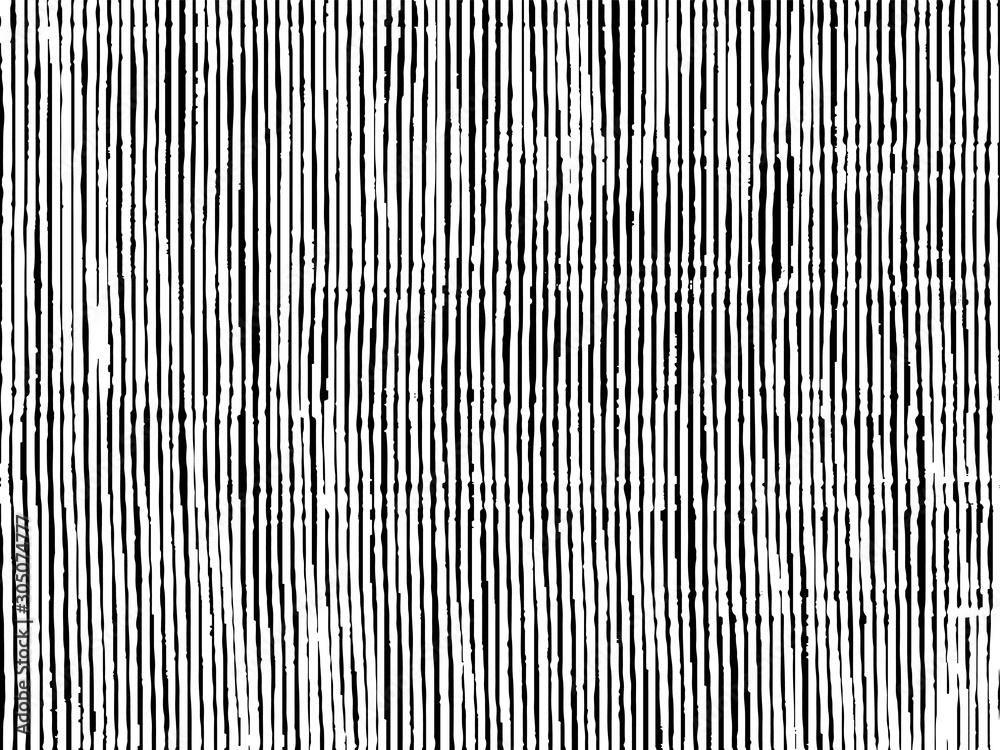 Poster Slim lines texture. Parallel and intersecting lines abstract pattern. Abstract textured effect. Black isolated on white background. Vector illustration. EPS10.