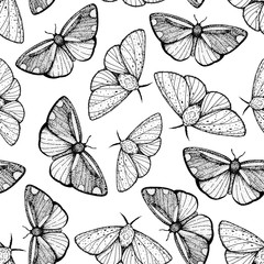 Butterfly sketch seamless pattern. Fabric design. Hand drawn vector illustration. Butterfly vintage background. Cinnabar moth seamless pattern