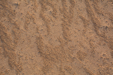 Gray sand on the beach by the lake
