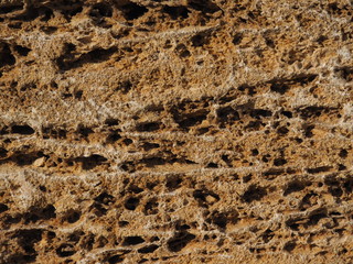 Laying. Wall. Natural stone. Crimean gerbil.