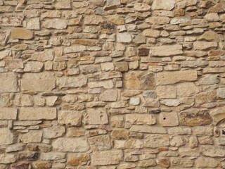 Laying. Wall. Natural stone. Crimean gerbil.