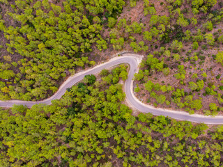 winding road in the mountains