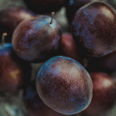 Ripe purple plums in a silver plate closeup.
