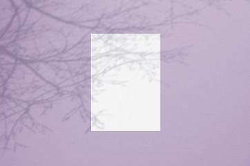 Blank white vertical paper sheet 5x7 inches with tree shadow overlay. Modern and stylish greeting card or wedding invitation mock up.