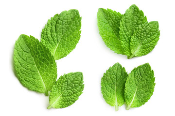 Naklejka na ściany i meble Set of delicious mint leaves, isolated on white background