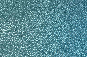 little blue bubbles on the liquid surface