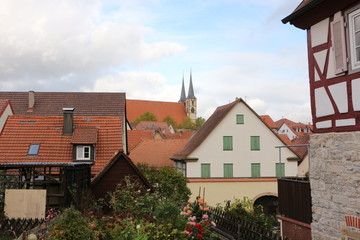 Blick über Bad Wimpfen