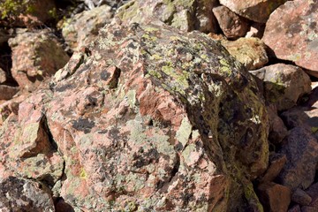 lichen on granite in the Alpine