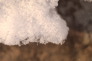 Macro tree in winter with frozen ice crystals. Close up snow
