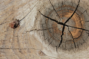 An old wooden board with a crack.