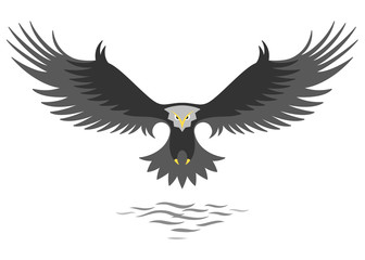 Modern simple eagle logo design, stylized graphic eagle, flying above the water,isolated on the white background.